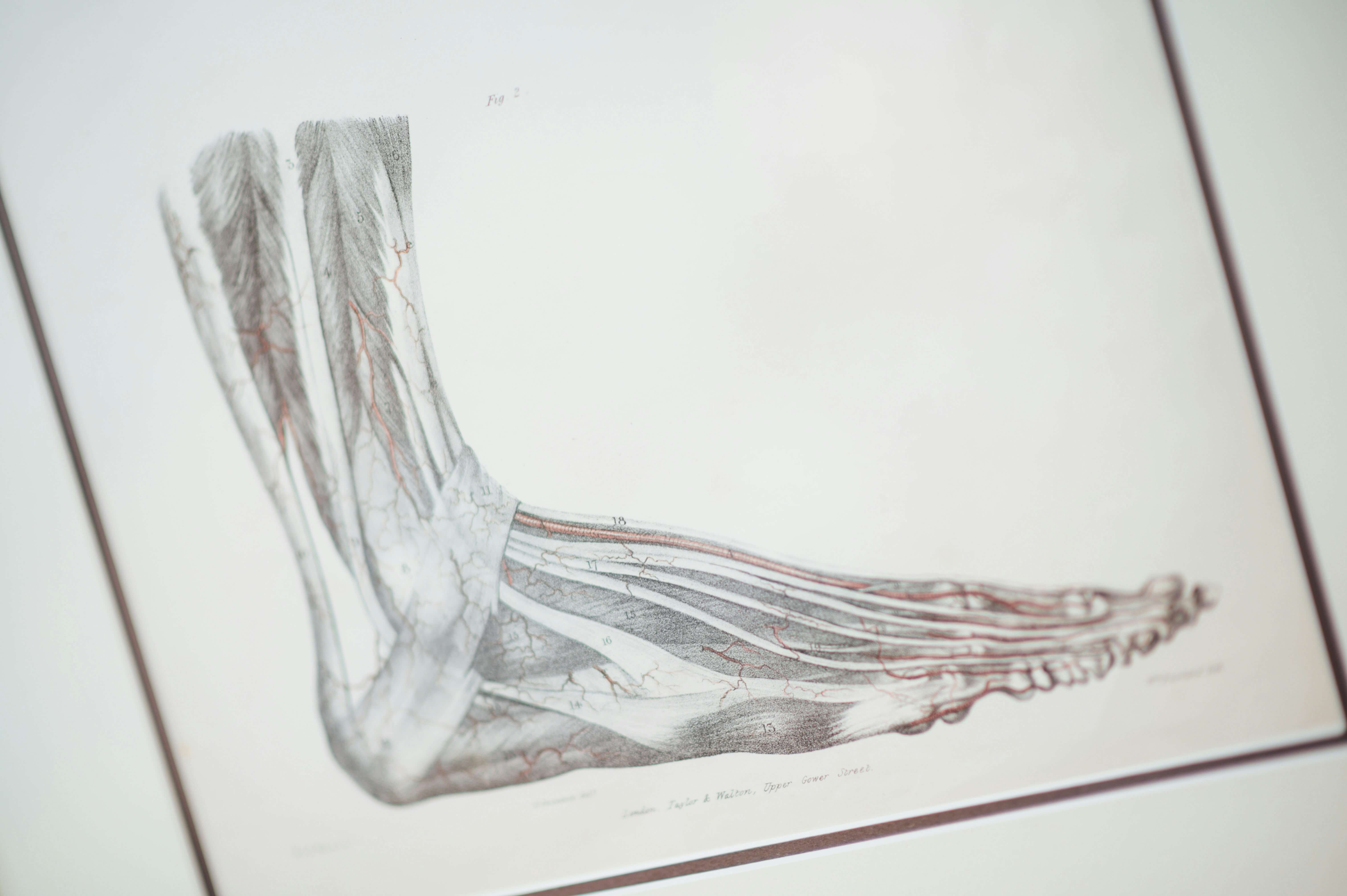 Diabetic Foot Care: The Daily Habits That Could Save Your Feet